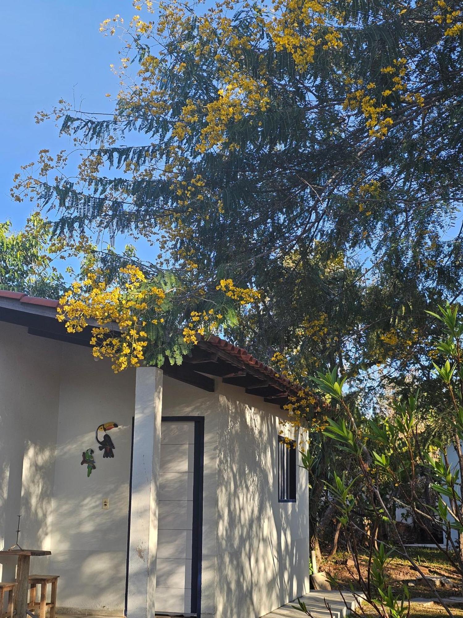 Estancia Morro Do Frota Pirenópolis Dış mekan fotoğraf